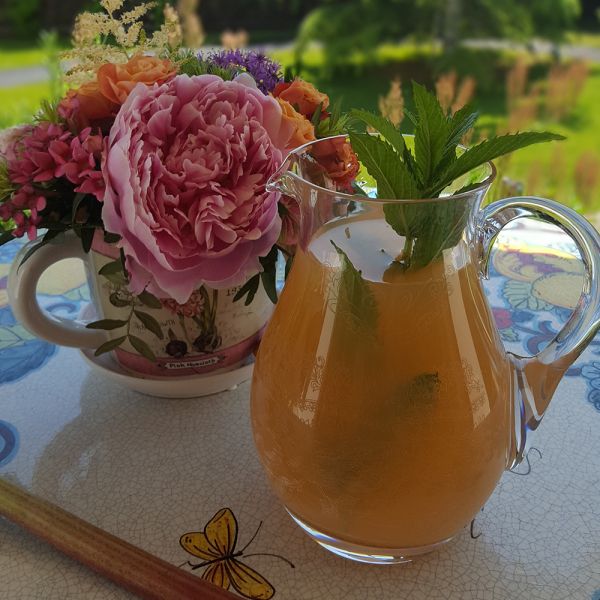 Limonadă cu Rubarbă